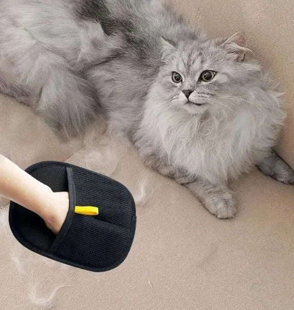 Pet hair removal glove - SKNCART